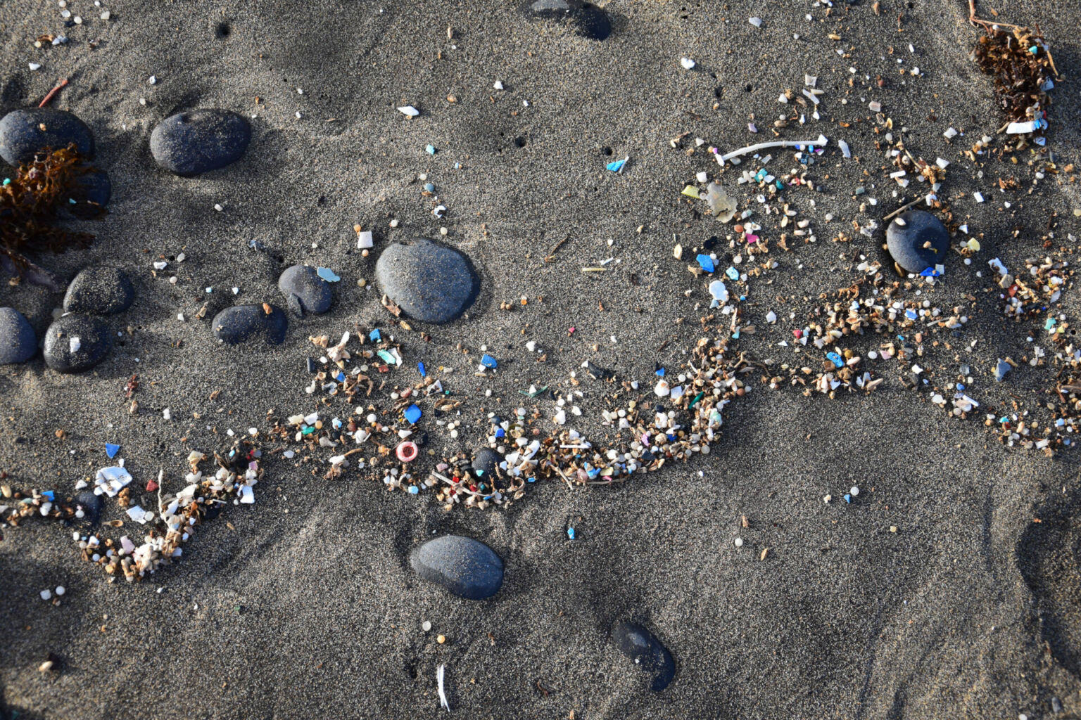 Selber Forschen Das Mittelmeer Mikroplastik Projekt