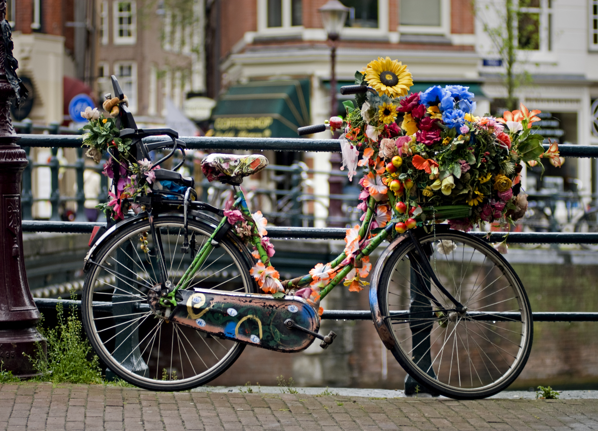 niederl fahrrad 5